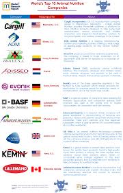 Top vitamin brands in india. World S Top 10 Animal Nutrition Companies Market Research Reports Inc