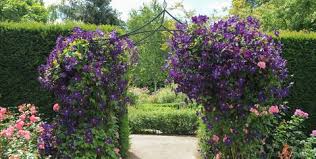 An example is a color scheme that includes various values and intensities of reds and oranges. 22 Purple Flowers For Gardens Perennials Annuals With Purple Blossoms