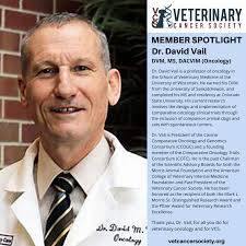 Veterinary Cancer Society