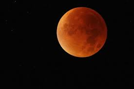 Image result for blood red moons 2007
