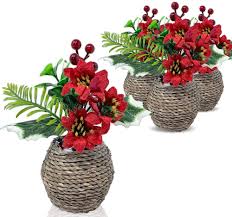 We did not find results for: Amazon Com Poinsettia And Holly Berries Silk Flower Arrangements Set Of 4 Realistic Red Christmas Flowers In Decorative Planters Holiday Home Decor Kitchen Dining