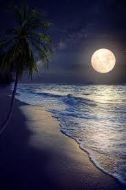 Browse and download the best free stock wallpaper images. Beautiful Fantasy Tropical Beach With Milky Way Star In Night Skies Full Moon Retro Style Artwor Photographic Print Jakkapan Art Com