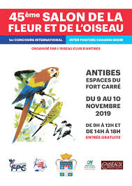 Maybe you would like to learn more about one of these? Salon De La Fleur Et L Oiseau A Antibes Les 09 Et 10 Novembre 2019 Recreanice