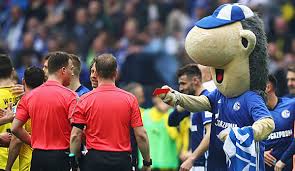 Nach dem abpfiff sammelte erwin die verlorene rote karte des schiedsrichters ein. Schalke Maskottchen Erwin Sorgt Nach Dem Derby Fur Gesprachsstoff