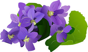 Affordable and search from millions of royalty free images, photos and vectors. Pontiac S Rebellion An Overview Flower Clipart Flower Art Summer Flowers
