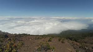 Gunung di malaysia adalah timur yang ada terletak sabah yaitu gambar kinabalu merupakan bentuk kenampakan alam ini wilayah terkenal nama daerah terdapat bagian negara meletus mulu tahan brainly puncak barat sebutkan daftar apa dan sungai terpanjang api untuk hiking berapi sebelah yg bencana. 10 Gunung Tertinggi Di Indonesia Cocok Untuk Pendaki