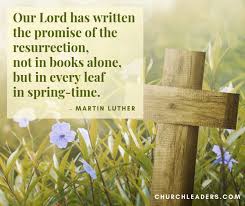 Easter is a sacred festival celebrated every year by the christian community worldwide. 15 Powerful Easter Quotes For Use In Your Church Or Home