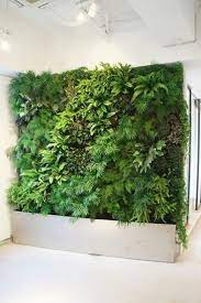 20 Incredible Indoor Wall Garden Ideas For More Home Fresh Green Wall Garden Wall Garden Garden Wall