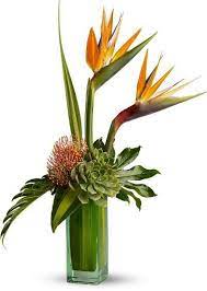 Flowers Toronto Flower Delivery Toronto Toronto Florist Gift Baskets 4165 Tropical Flower Arrangements Tropical Floral Arrangements Flower Arrangements