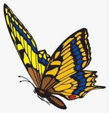 Download free butterfly png images. Butterflies Png Butterfly Blue Butterfly Gif Png Free Transparent Clipart Clipartkey