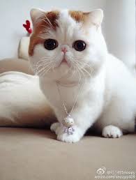 Pin On How Cute Is That