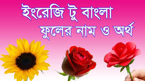 We did not find results for: Flowers Name All Flowers Name English Bangla Best Flowers Name Learn English To Bangla Flowers Youtube