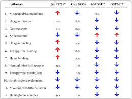 Frontiers Blood Transcriptomic Meta Analysis Identifies