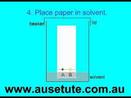 Basics Of Paper Chromatography Paper Chromatography High School Chemistry Chemical And Physical Changes