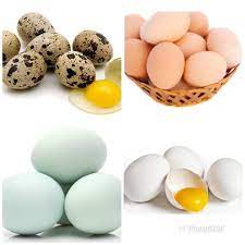 Check spelling or type a new query. Murah Telur Ayam Negeri Telur Ayam Kampung Telur Bebek Telur Puyuh Telor Ayam Telor Asin Shopee Indonesia