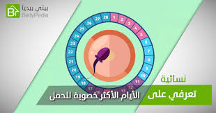 أفضل وقت للجماع لحدوث الحمل بيتي بيديا