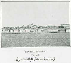 نوسا الغيط منظر البلده من شرقي in 2021 blog posts blog