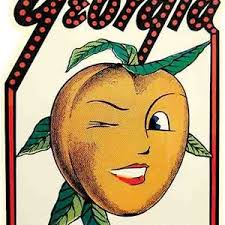 Macon Ga Vintage Map