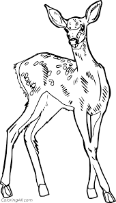 Realistic deer coloring pages realistic deer coloring pages is another image that is categorized in free coloring pages nature scenes. Realistic Spotted Deer Coloring Page Coloringall