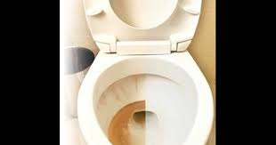 How To Remove Hard Water Stains From Your Toilet Bowl Youtube Hard Water Stain Remover Clean Toilet Bowl Stains Remove Toilet Bowl Stains