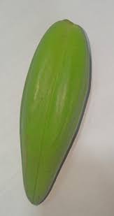 Image result for Telosma