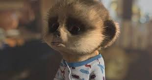 Bite Off More Than You Can Chew Gif Pin By Lisa Jones On Oleg Meerkat Baby Meerkat Meerkat Animals