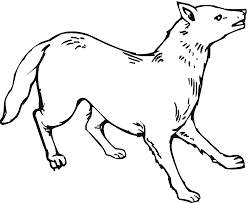 Check spelling or type a new query. Free Printable Coyote Coloring Pages For Kids