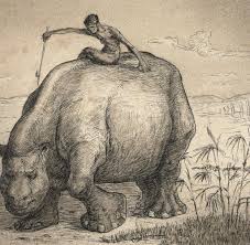 Das ernst barlach haus im jenischpark, hamburg. Lichte Finsternis Ungeheuer Von Alfred Kubin Im Ernst Barlach Haus Welt