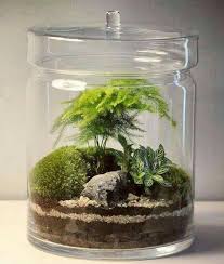 (but not usually people like terrarium man!) Closed Terrarium 101 7 Easy Steps To Build Your Glass Terrarium My Tasteful Space Succulent Terrarium Terrarium Plants