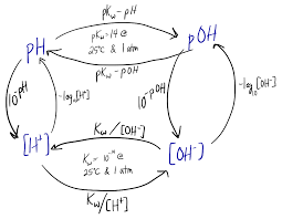 How To You Convert Between Ph Poh H And Oh Socratic