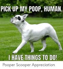 Pet waste removal service is filling full time positions on established routes. Doody Happens Pet Waste Removal Doody Happens Twitter