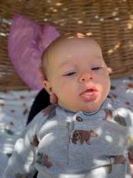 Hush Little Baby:, for Hazel, Hush little baby, don’t say a word,, Anna’s  gonna find you a hummingbird., And if that hummer’s not for keeps, , Anna’s  gonna herd you a bighorn sheep. , And if that ...