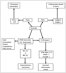 Image result for Stroke Pathophysiology