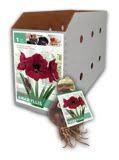 We did not find results for: Queen Of The Night Amaryllis Bulb Canadian Tire