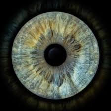 Kuba 16 Australia In 2020 Iris Art Creative Gallery Cool Art