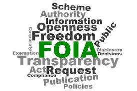 Image result for Freedom of Information