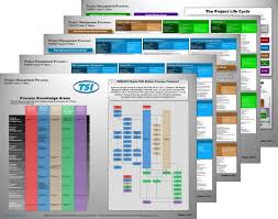 Pmi Project Management Process Flow Chart