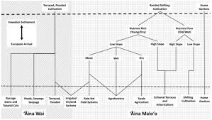 Según la psicología hay tres fases de adicción al videojuego que modifican la conducta: Sustainability Free Full Text Restoration Of Aina Malo O On Hawai I Island Expanding Biocultural Relationships Html