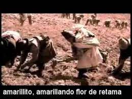 Flor De Retama Martina Portocarrero Youtube