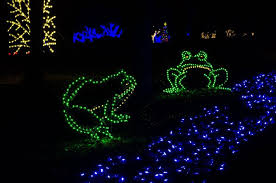 Meadowlark S Winter Walk Of Lights Photos Lights Frog And Toad Photo
