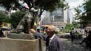 We did not find results for: Swimmer Tom Daley Knits A Little Cozy Pouch To Protect His Olympic Gold Medal Nbc 6 South Florida