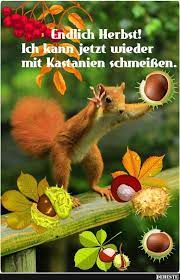 pin auf herbst