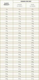 feeding guide eden pet foods