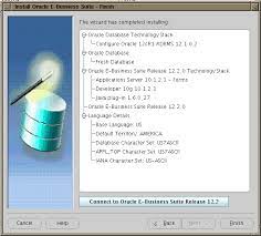 Oracle E Business Suite Installation Guide Using Rapid Install
