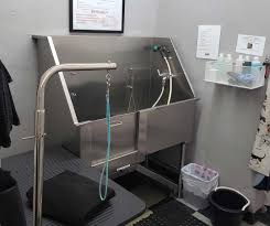 Tropical kingdom also carries aquaponic and hydroponic supplies and staffs experts on exotic pets. Home Spike Chester S Scrub Tub