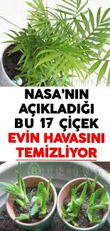 1989 Da Bulduklari O Bitkileri Artik Bizimle Paylastilar Plants Plant Breeding Garden Planning