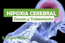 Se requieren pruebas de esa irreversibilidad. Hipoxia Cerebral Que Es Causas Riesgos Y Secuelas