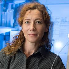 Summit Committee — GCOS 2024