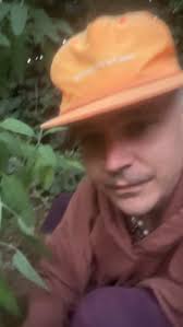 🌱😮‍💨💭✨🪄✨🪽