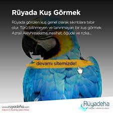 ruyada kus gormek ne anlama geliyor kus ruya ruya yorumu